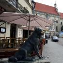 Kazimierz Dolny, Rynek 2 - Kebab Pod Psem - fotopolska.eu (322647)