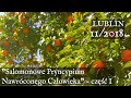 "Salomonowe Pryncypium Nawróconego Człowieka" - Lublin 11/2018 (cz.1)